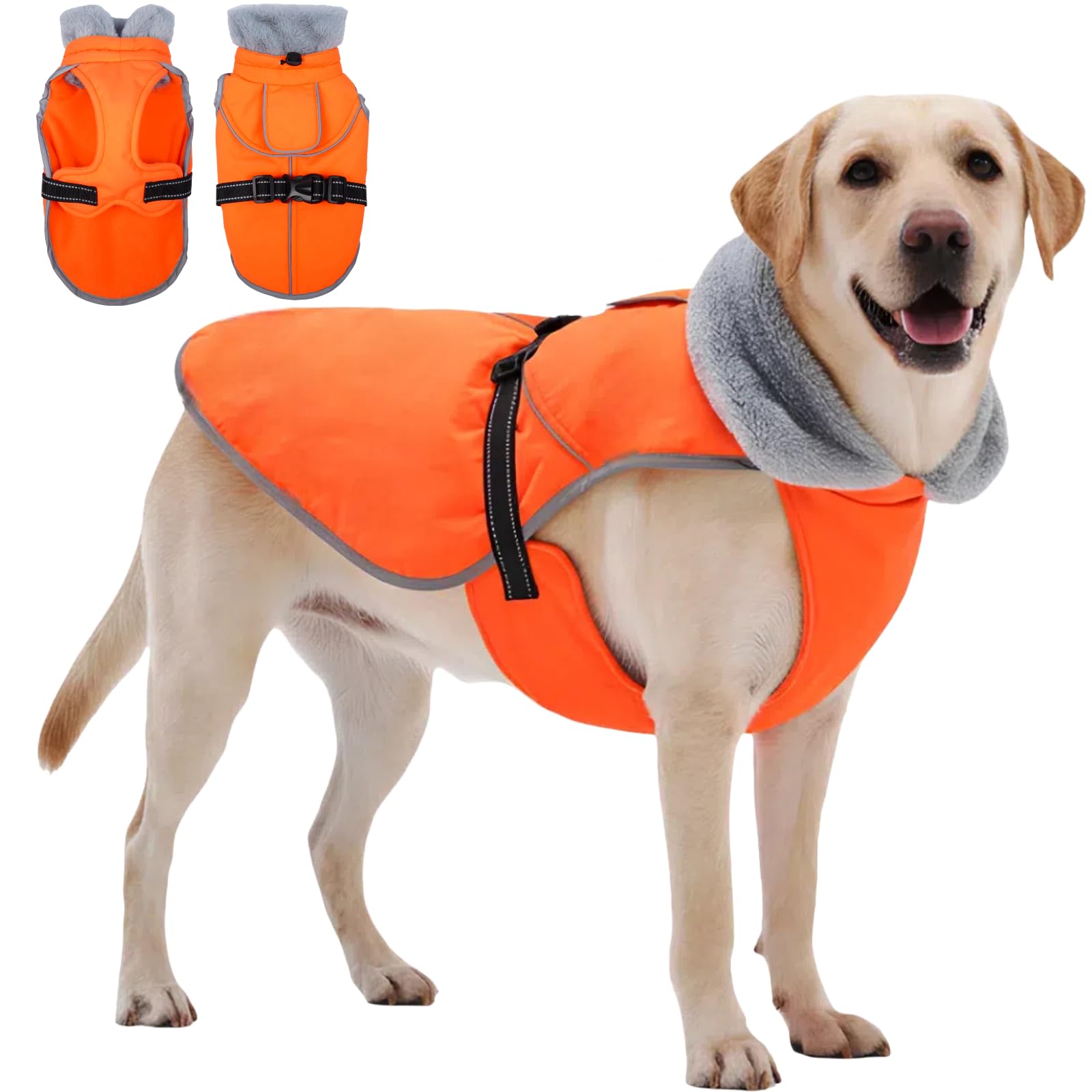T'CHAQUE insulated dog winter jacket back view highlights waterproof protection and all-day warmth.