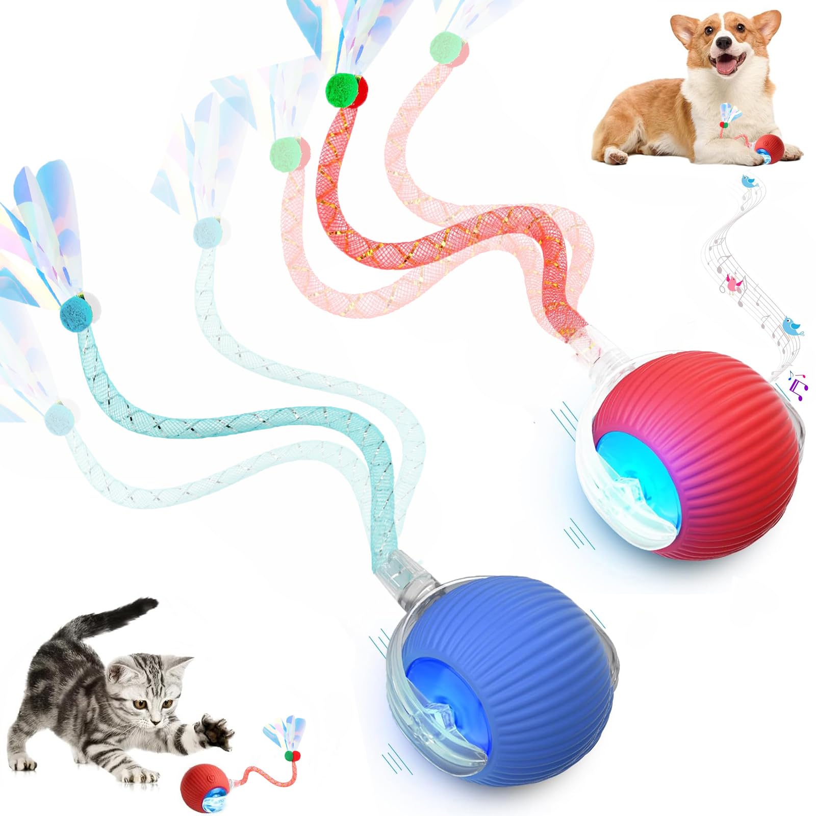 Tchernt speed 2-0 tail cat toy in action to boost play and energy burn.