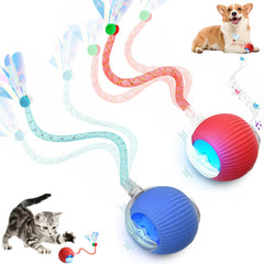 Tchernt speed 2-0 tail cat toy in action to boost play and energy burn.