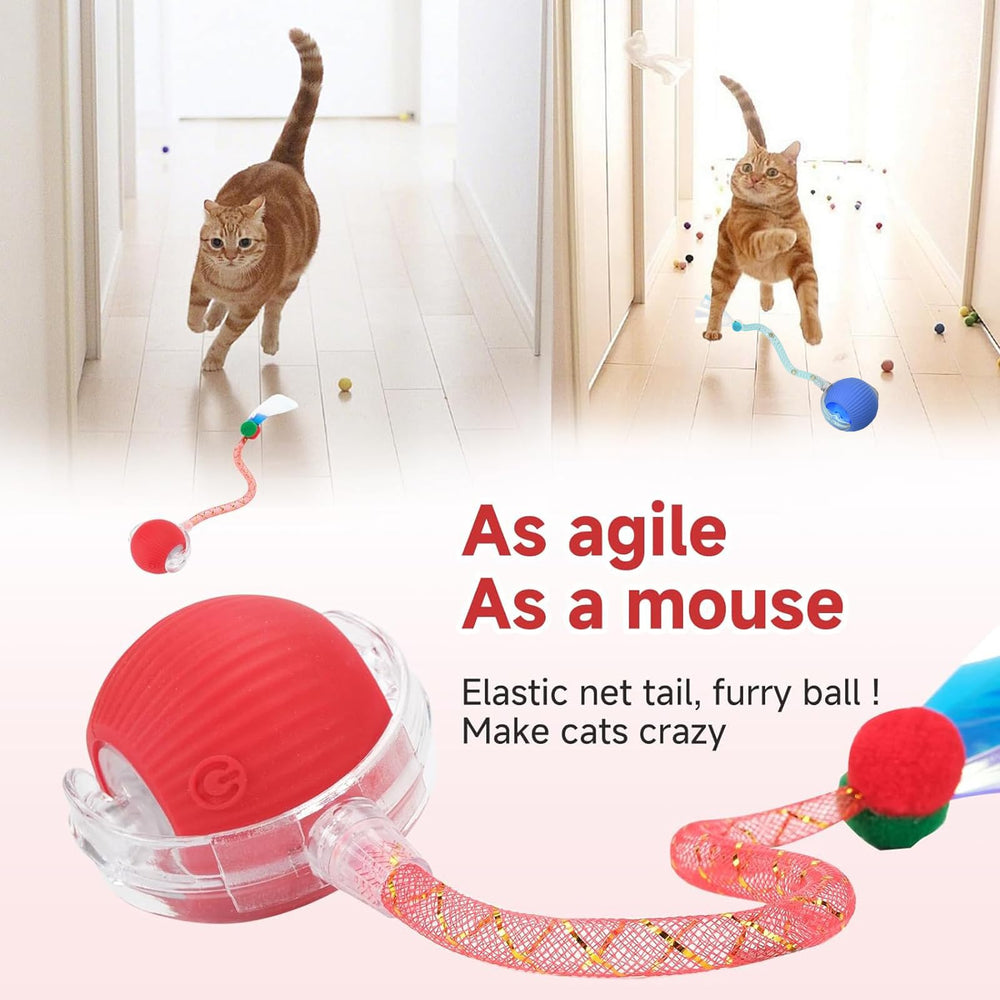 Tchernt Speed 2.0 cat toy in action with blue ball and tail for chasing fun.