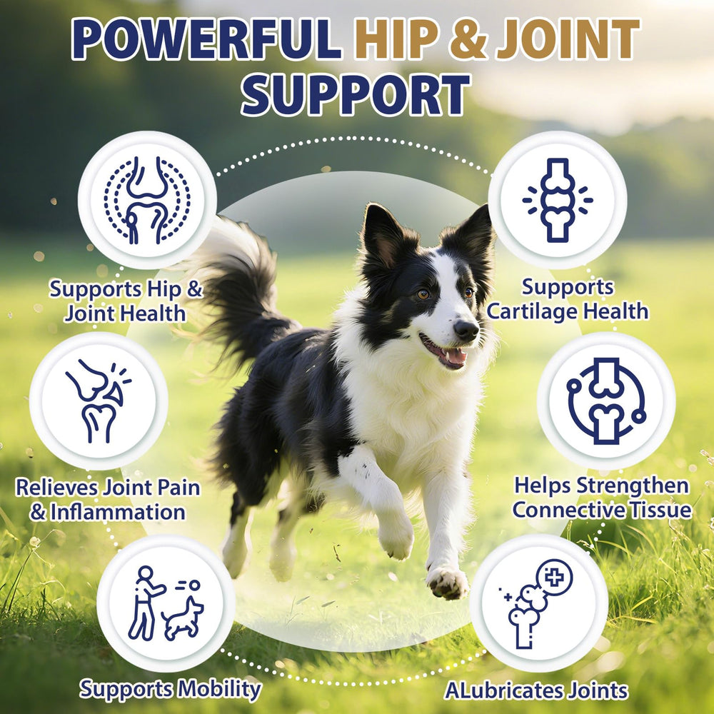 Tciika dog calming chews label indicating calming ingredients for anxiety support