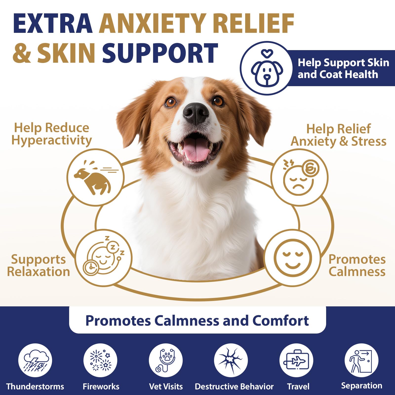 Tciika immune and skin health dog treats imply overall wellness and coat shine