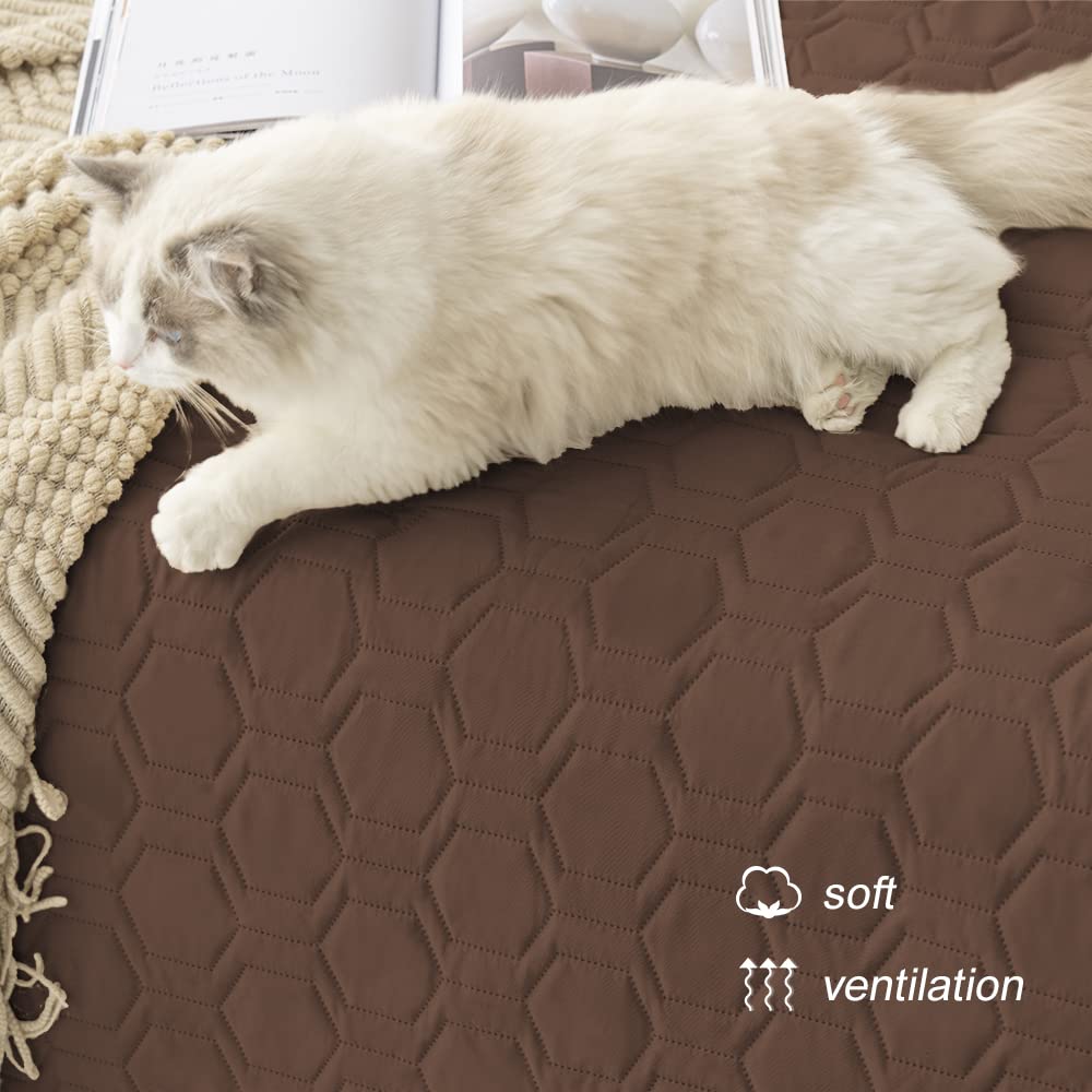 Tcksstex bed protector on sofa demonstrates furniture care
