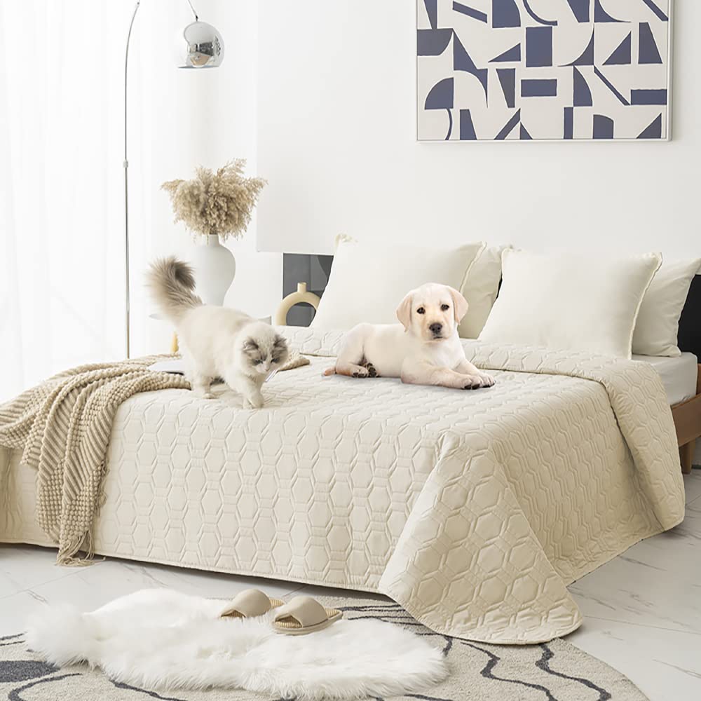 Tcksstex ivory-68x82-pet-cover fits standard sofas and beds nicely.