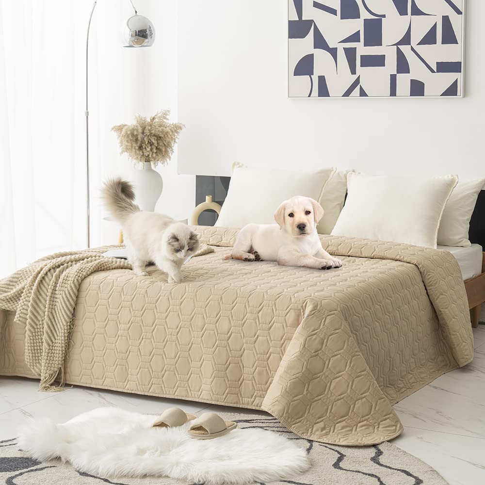 Tcksstex layered-soft-surface dog bed cover beige 40x50 offers cozy naps.