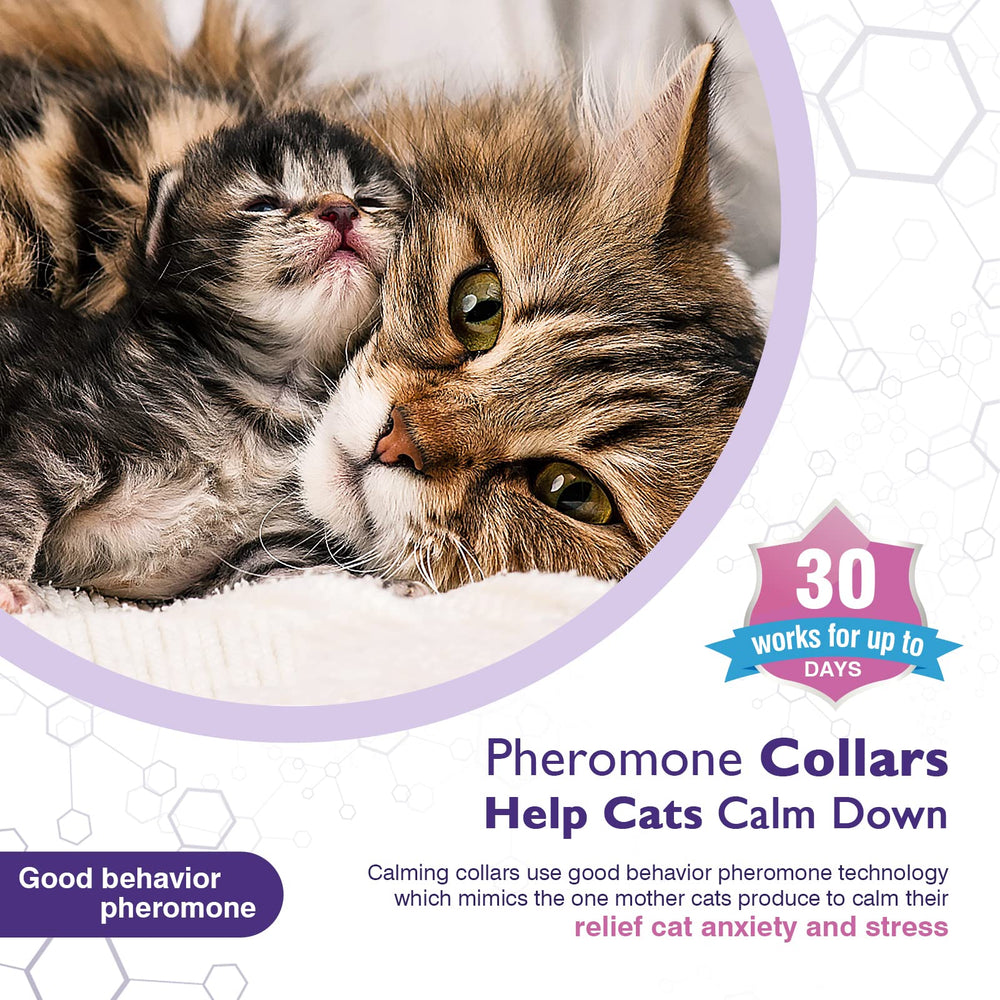 Tcllka calming cat collar closeup material highlighting skin-friendly TPE