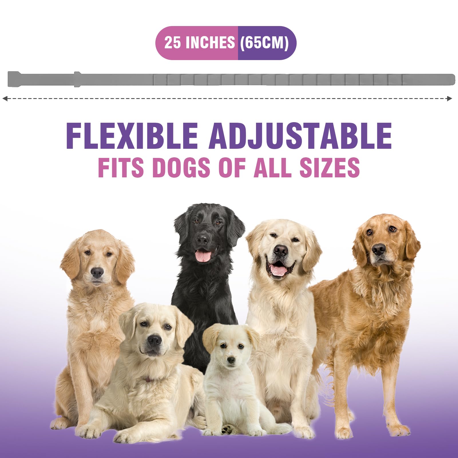 Tcllka calming collar opened and ready to use for immediate calming assistance.