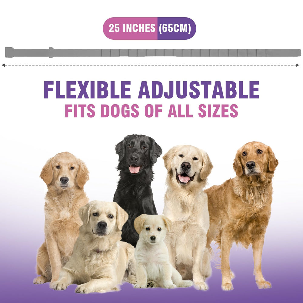 Tcllka calming collar opened and ready to use for immediate calming assistance.