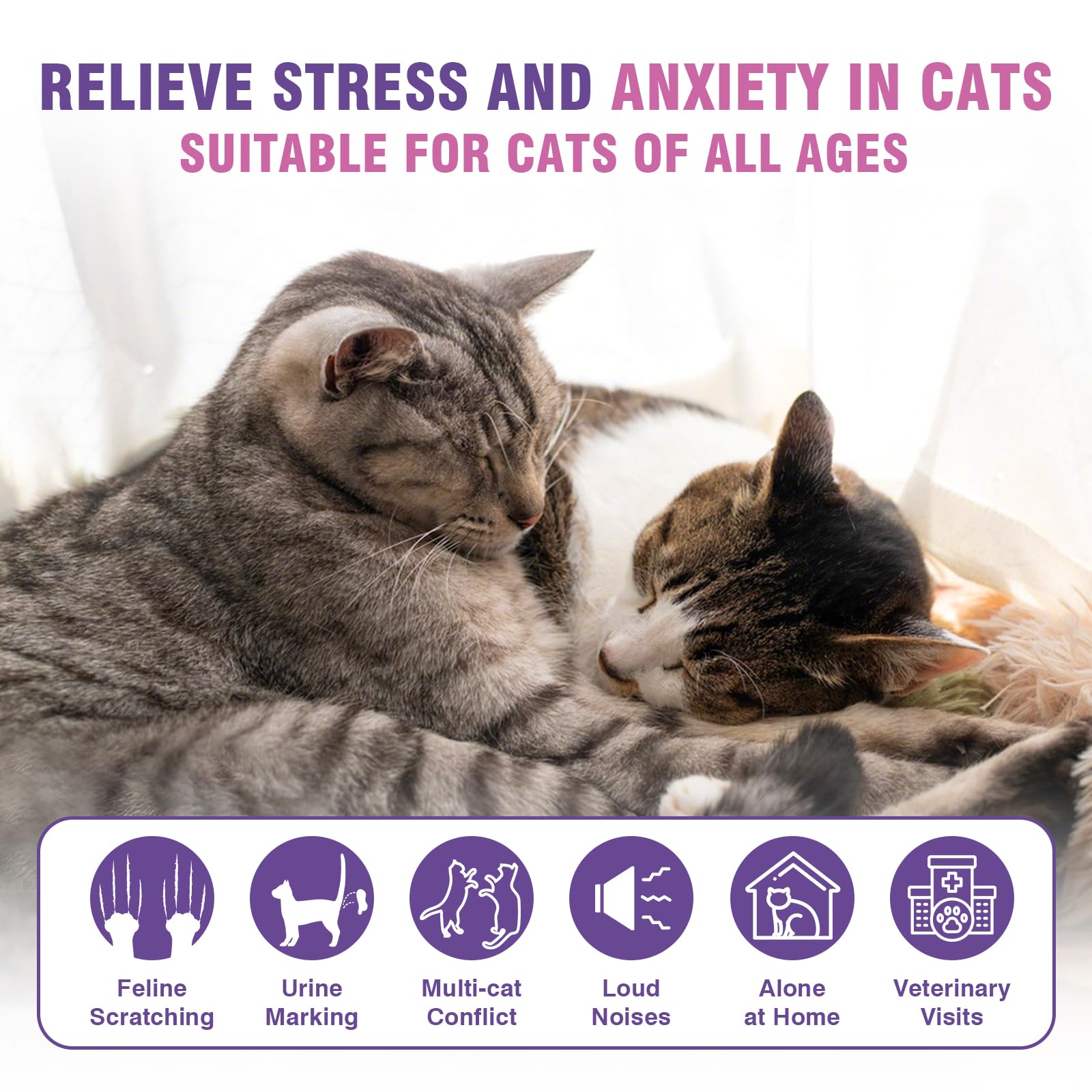 Tcllka fast-acting pheromone diffuser provides gradual behavioral support in weeks.