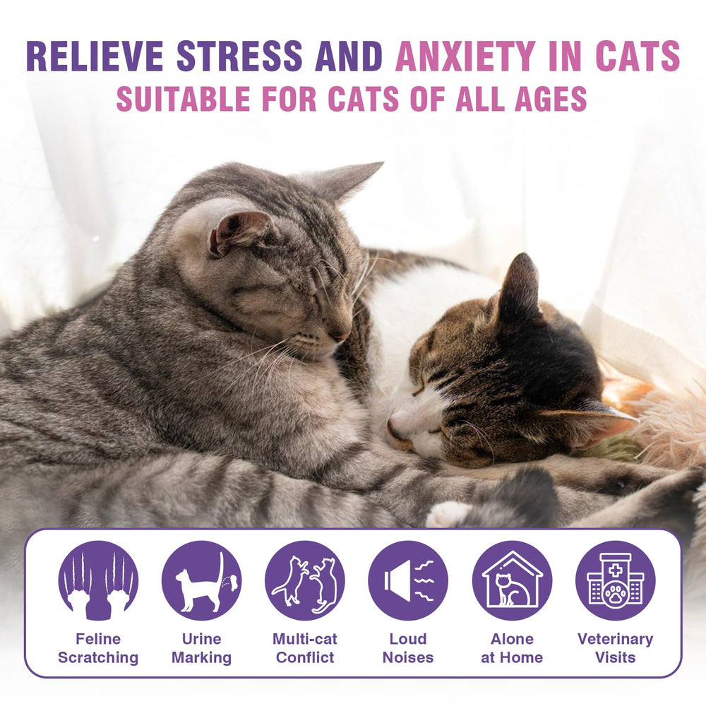 Tcllka fast-acting pheromone diffuser provides gradual behavioral support in weeks.