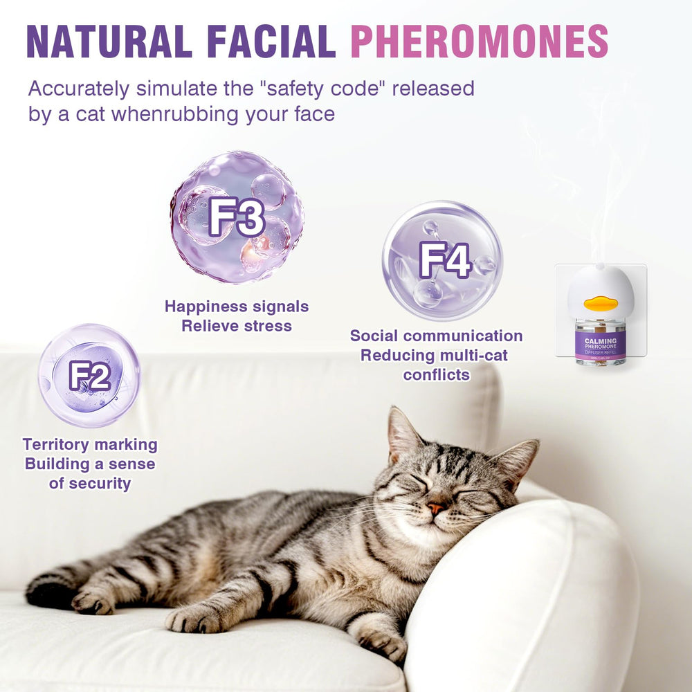 Tcllka odorless cat pheromone diffuser demonstrates fragrance-free stress relief.
