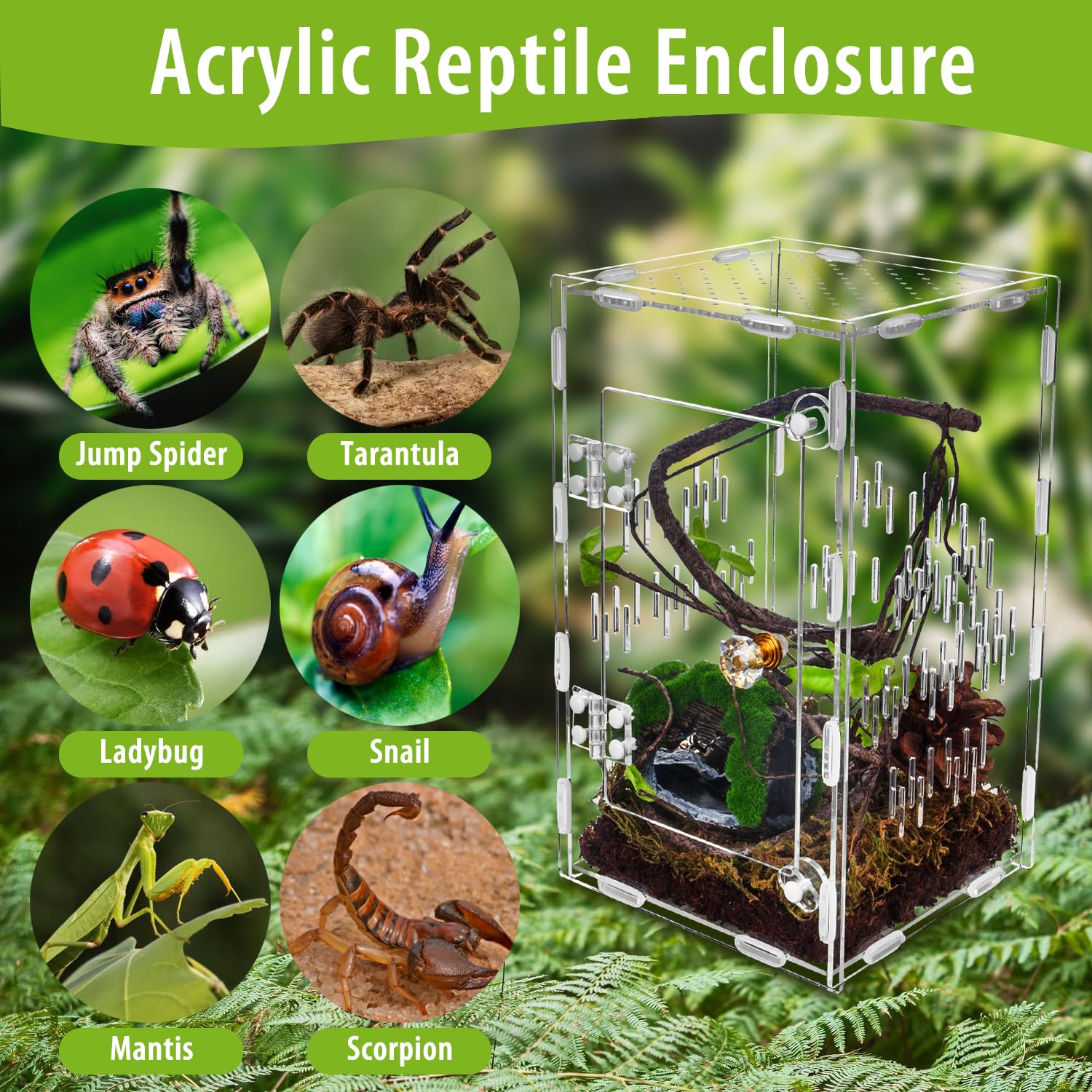 TCooSo DIY Installation – Acrylic Reptile Enclosure, tool-free setup.