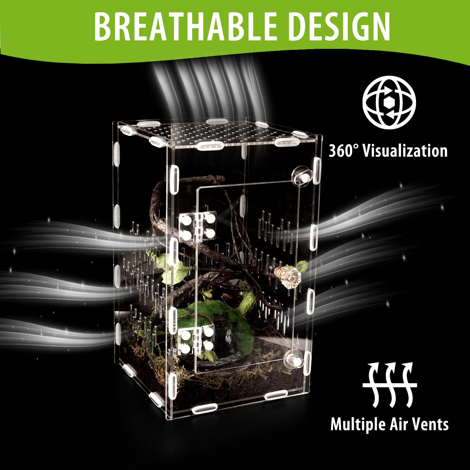 TCooSo Insect Terrarium Dual Locks keep pets safely contained.