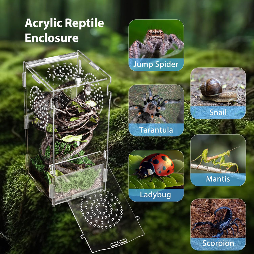 TCooSo transparent terrarium with air vents enables healthy airflow