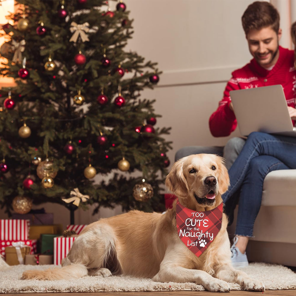 TCQWKNI 2-pack Christmas dog bandana set, coordinated outfits