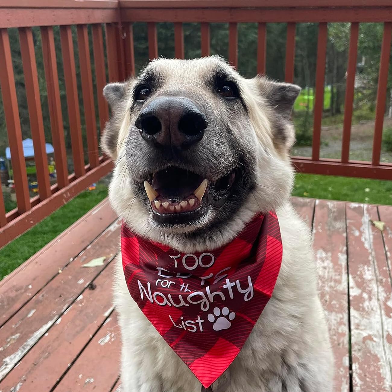 TCQWKNI Christmas bandana soft fabric, comfortable all-day wear