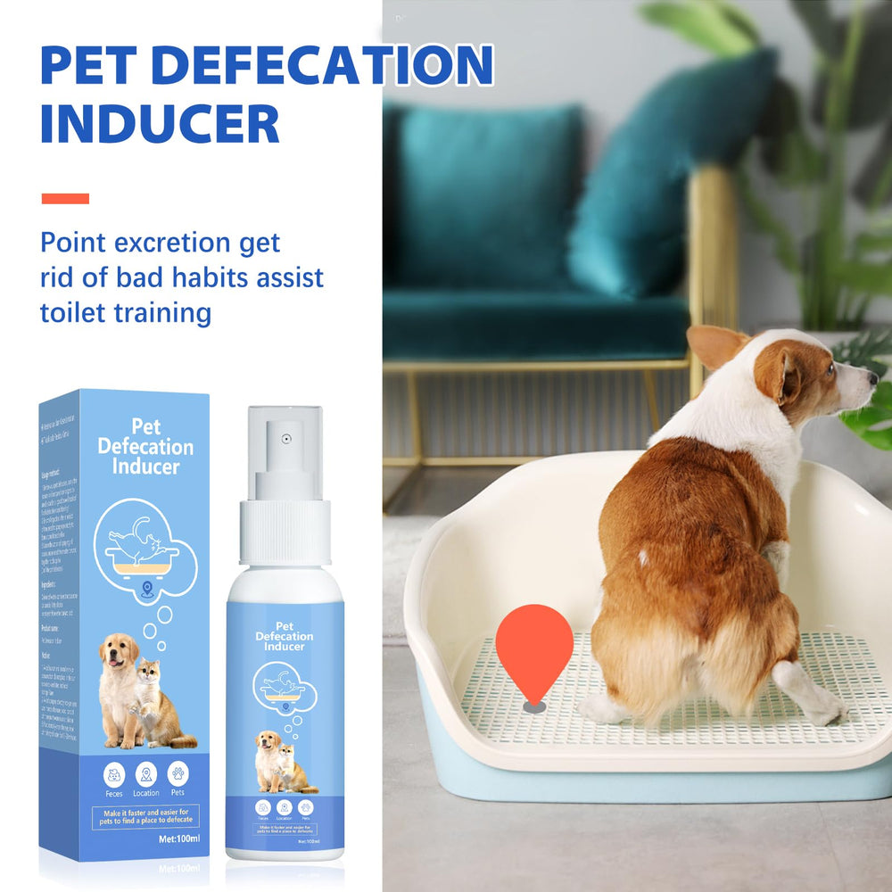 TDBFD Potty Training Spray on a training spot demonstrates attraction to the right place.