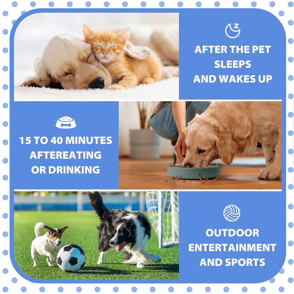 TDBFD Potty Training Spray label closeup emphasizing pet-safe, evaluated ingredients.