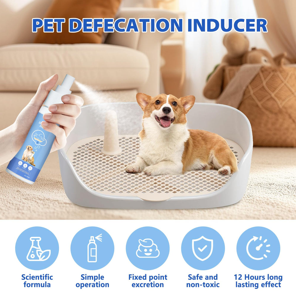 TDBFD Potty Training Spray with puppy training mat setup supports faster house-training progress.