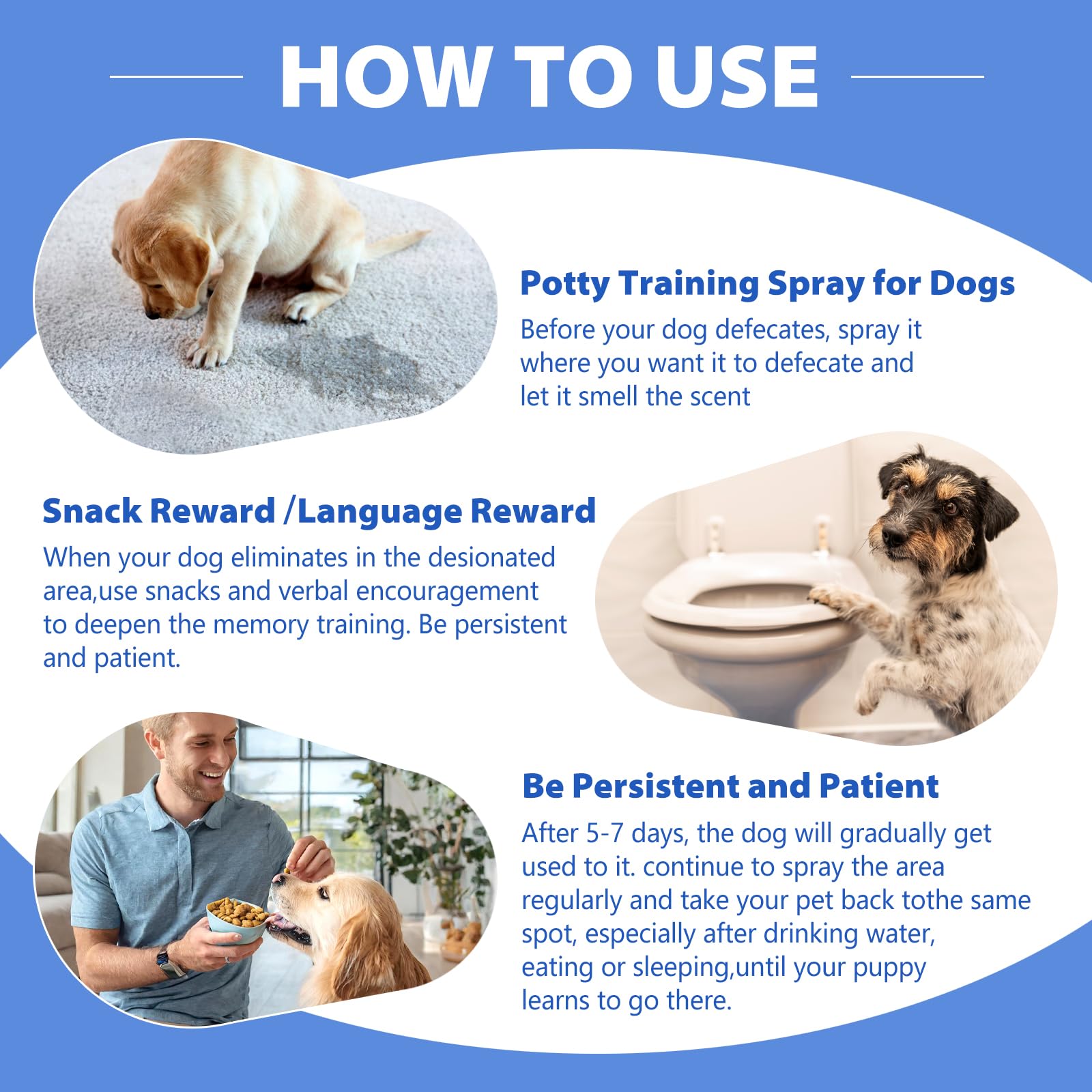 TDBFD Potty Training Spray in action during a training session with praise and treats.