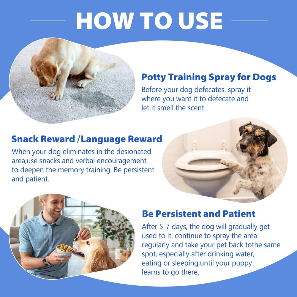 TDBFD Potty Training Spray in action during a training session with praise and treats.