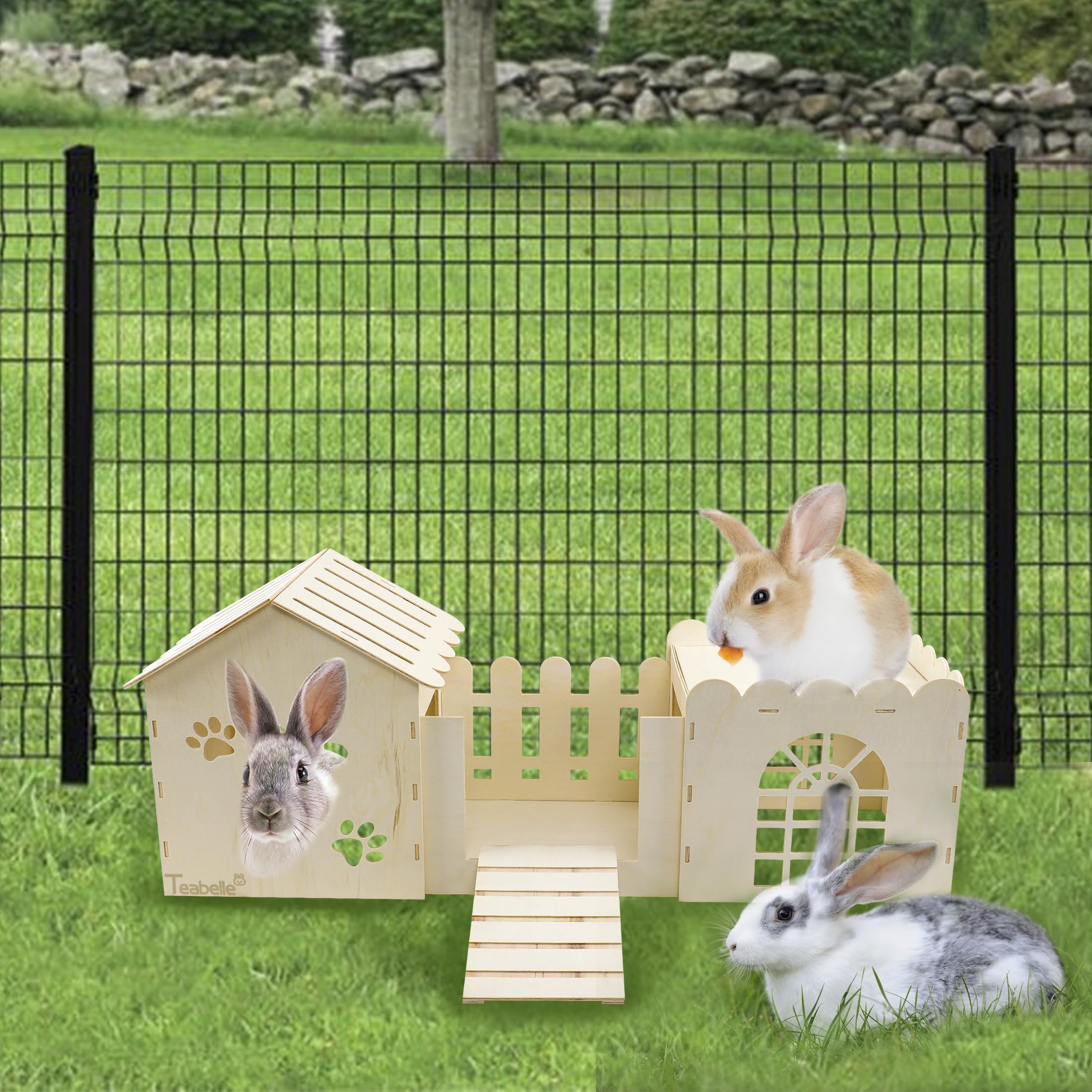 Teabelle separate rooms for hiding and resting reduce stress during play.