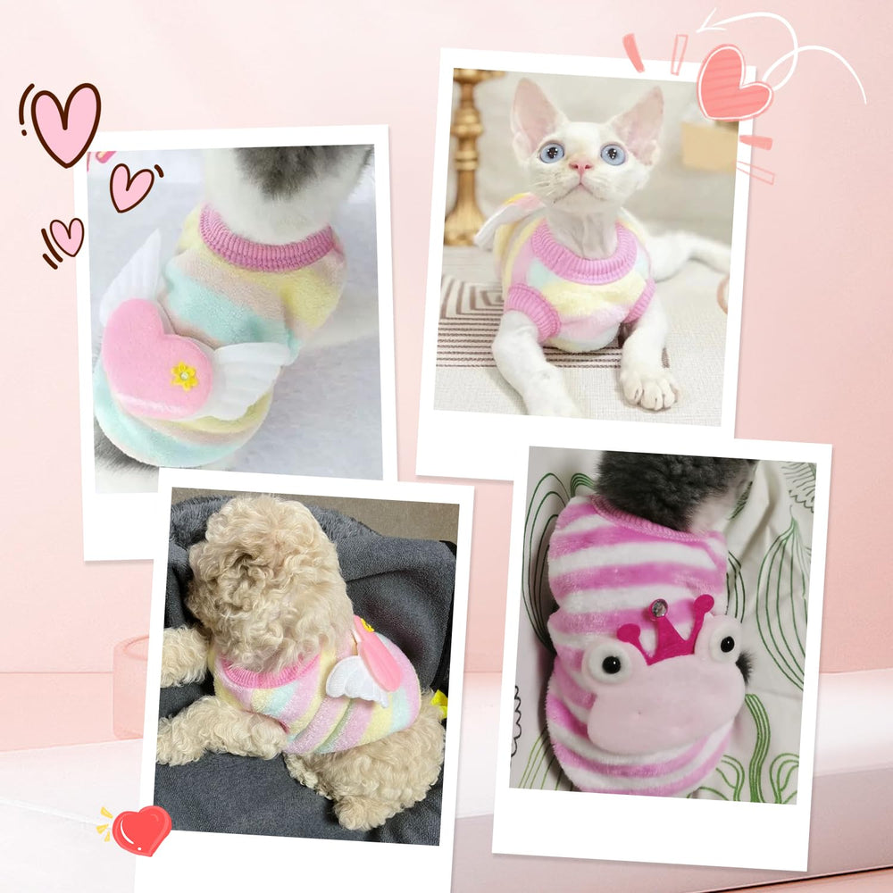 Teacup dog sweater blue snails design adds charm for walks.