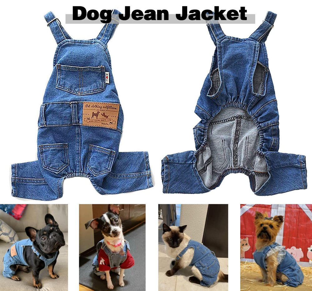 Tealots four-leg style outfit during playtime, easy to move and wear.