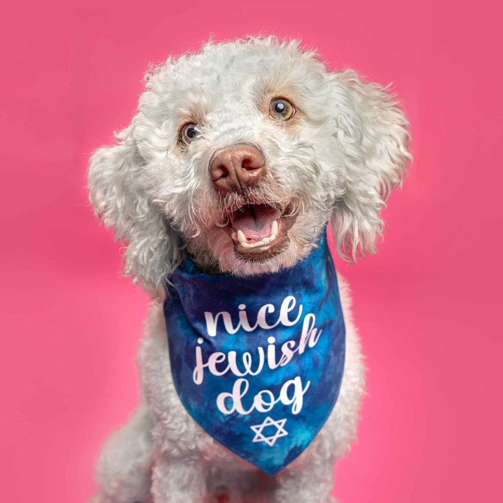 Tees & Tails Nice Jewish Dog Bandana Royal Scrunch breathable 100% cotton for daily wear.