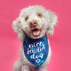 Tees & Tails Nice Jewish Dog Bandana Royal Scrunch breathable 100% cotton for daily wear.