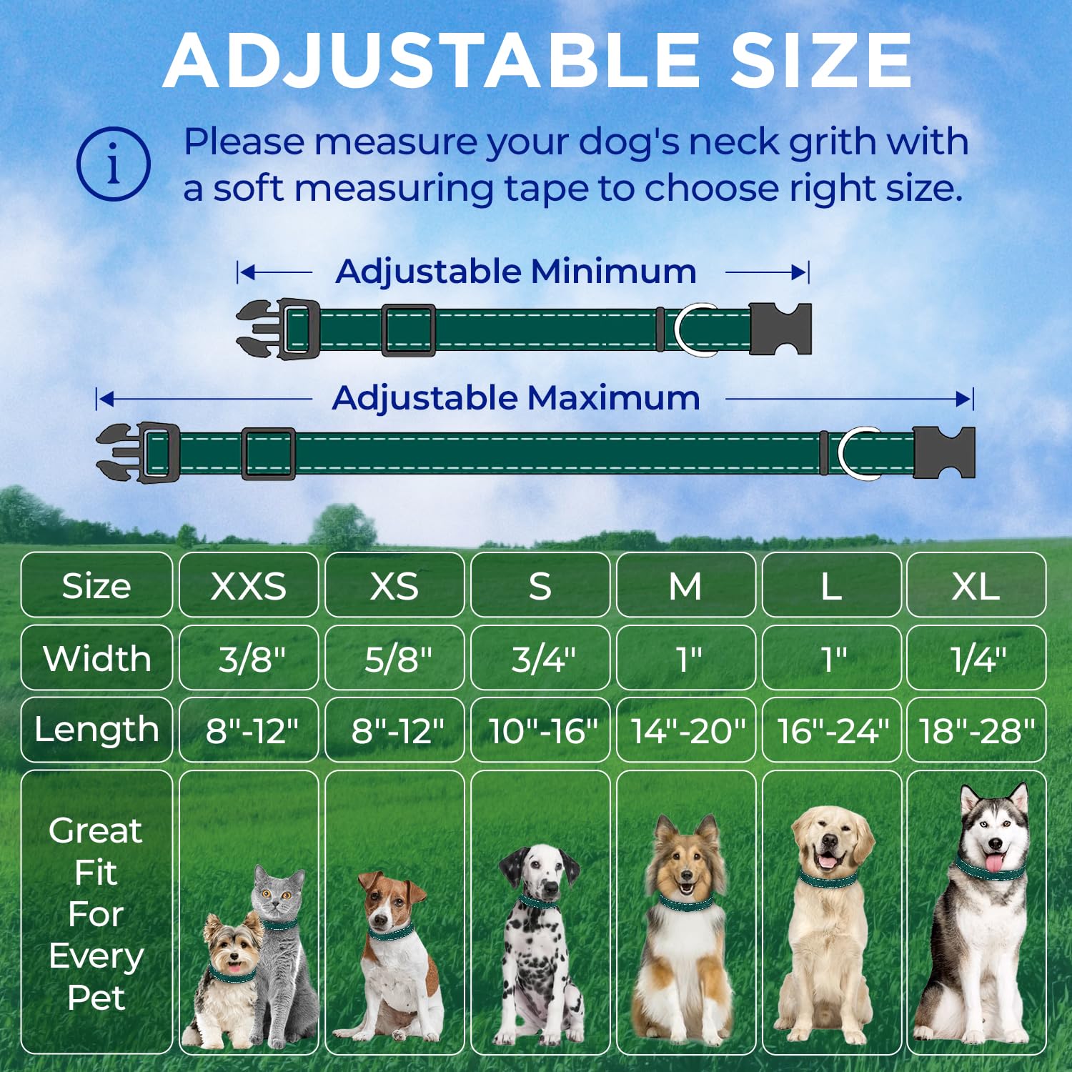 TECEUM adjustable fit design accommodates dogs and cats of various sizes