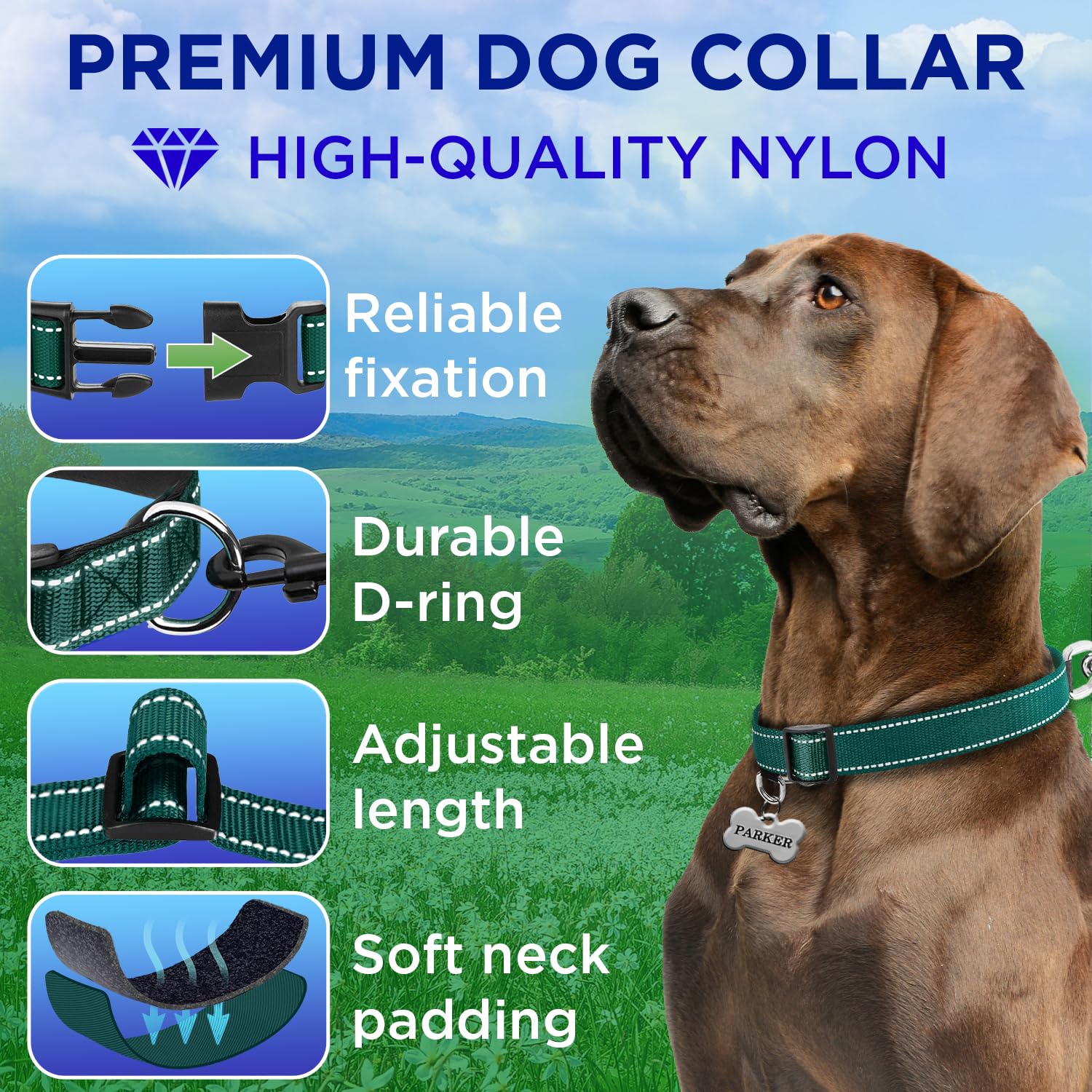 TECEUM collar night visibility threads help you spot your dog from afar at night