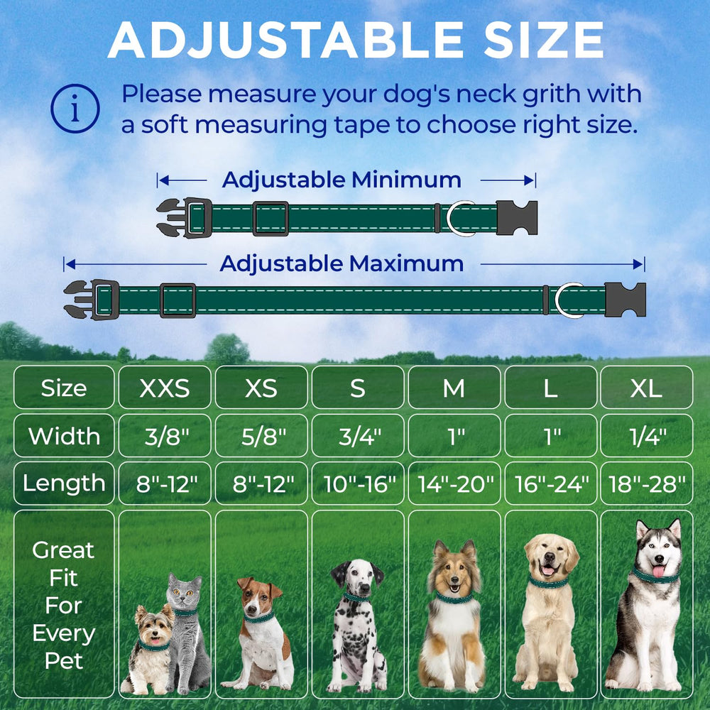 TECEUM adjustable design fits puppies to large dogs for growing pets.