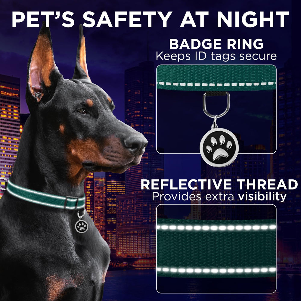 TECEUM Reflective Collar shows reflective threads that glow for night-time visibility.