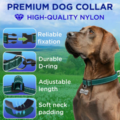 TECEUM Reflective Collar side view demonstrates durable nylon and secure fit for daily adventures.