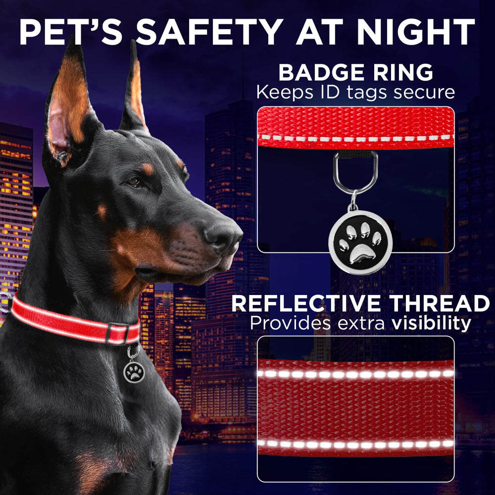 TECEUM Reflective Collar red D-ring for easy leash attachment.