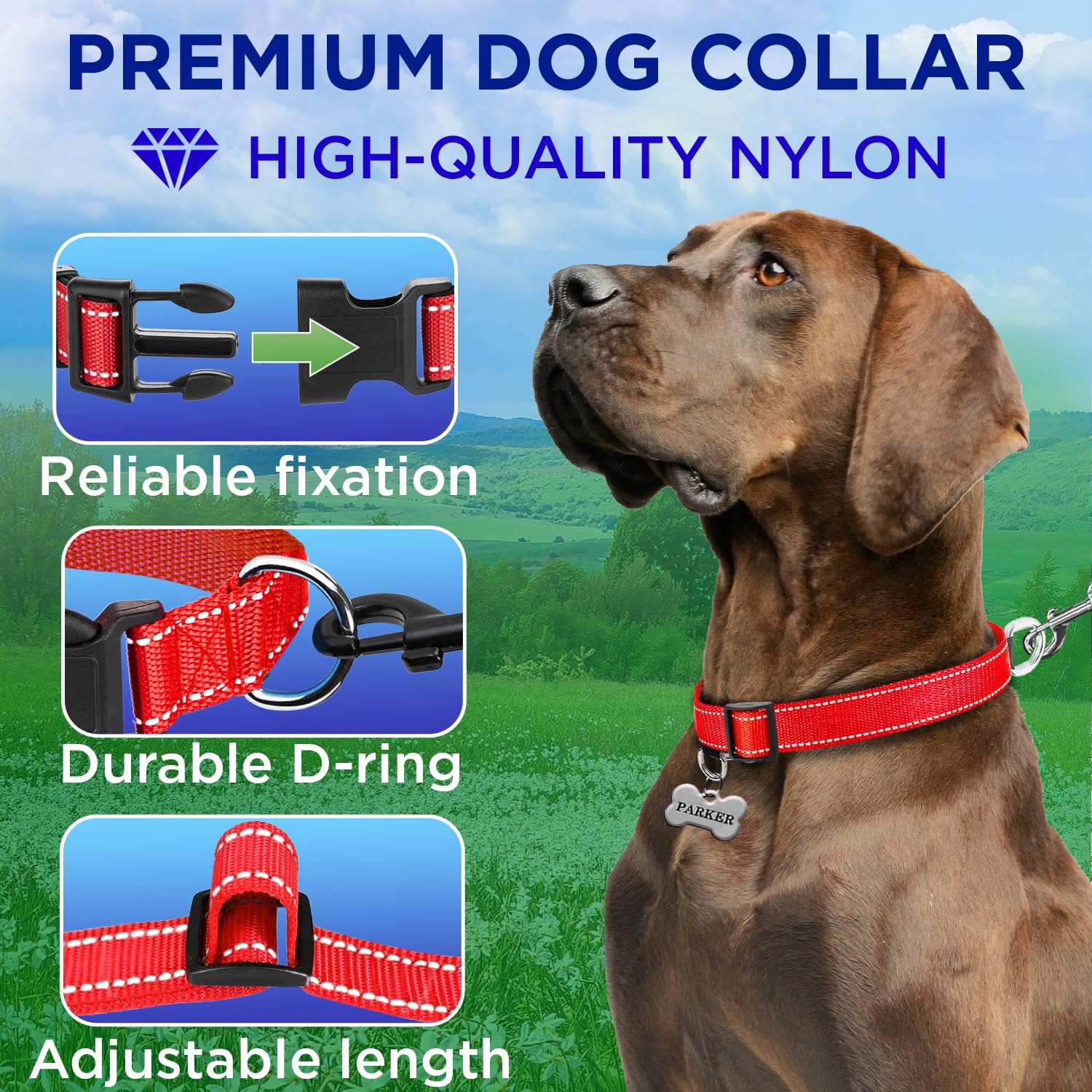 TECEUM Reflective Collar red side view showing reflective threads.