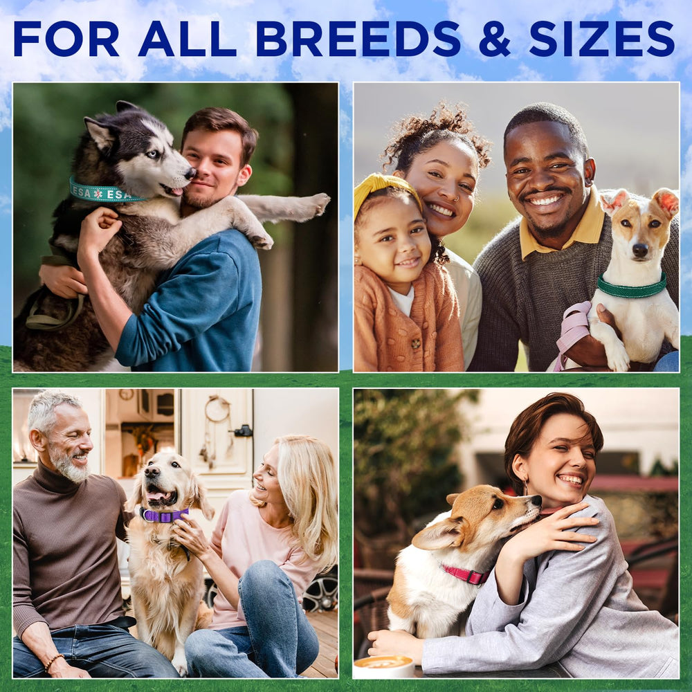 TECEUM Reflective Collar adjustable size fits dogs and cats.