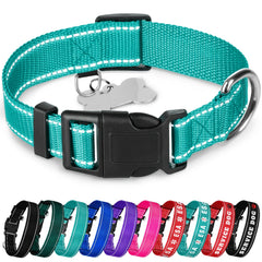 TECEUM Reflective Collar teal with quick-release buckle for easy on/off.