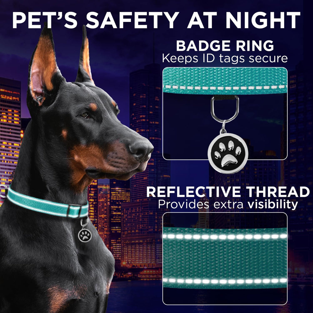 TECEUM Reflective Collar Teal offers color variety for pets.