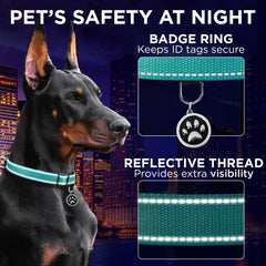 TECEUM Reflective Collar Teal offers color variety for pets.