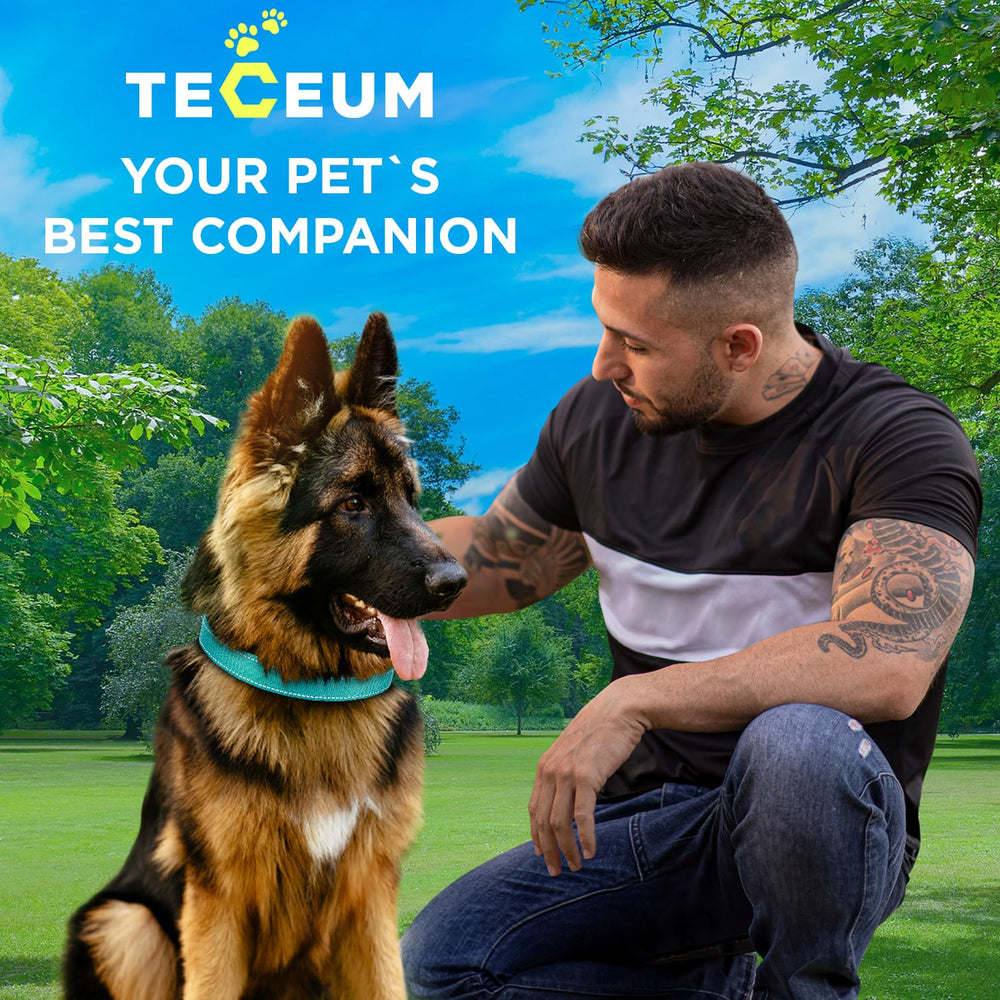 TECEUM Reflective Collar ESA/service dog options available.