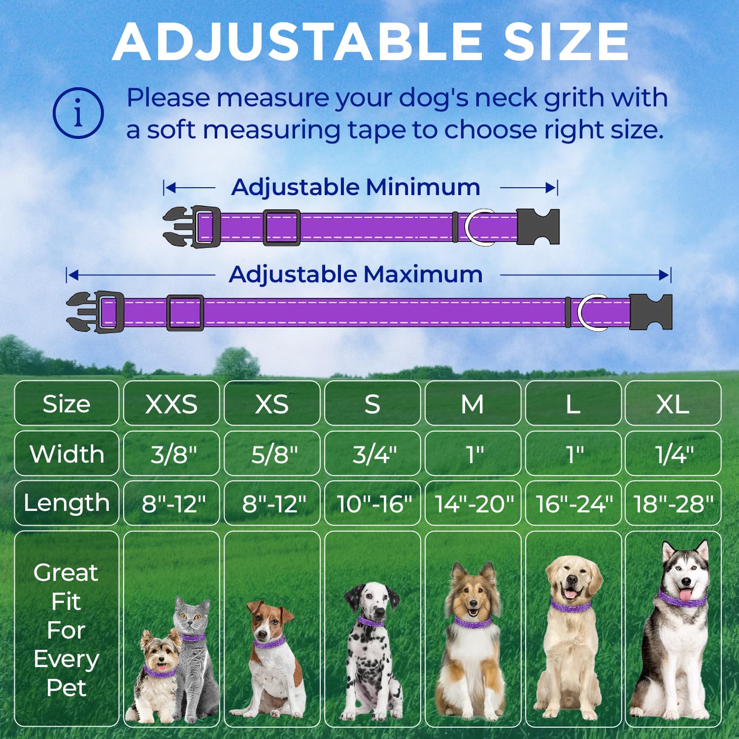 TECEUM Violet S adjustable collar fits various dog sizes