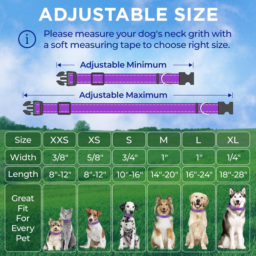 TECEUM Violet S adjustable collar fits various dog sizes