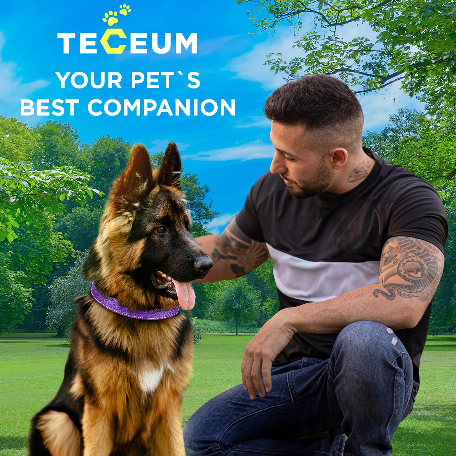 TECEUM Violet S collar for cats and small dogs use