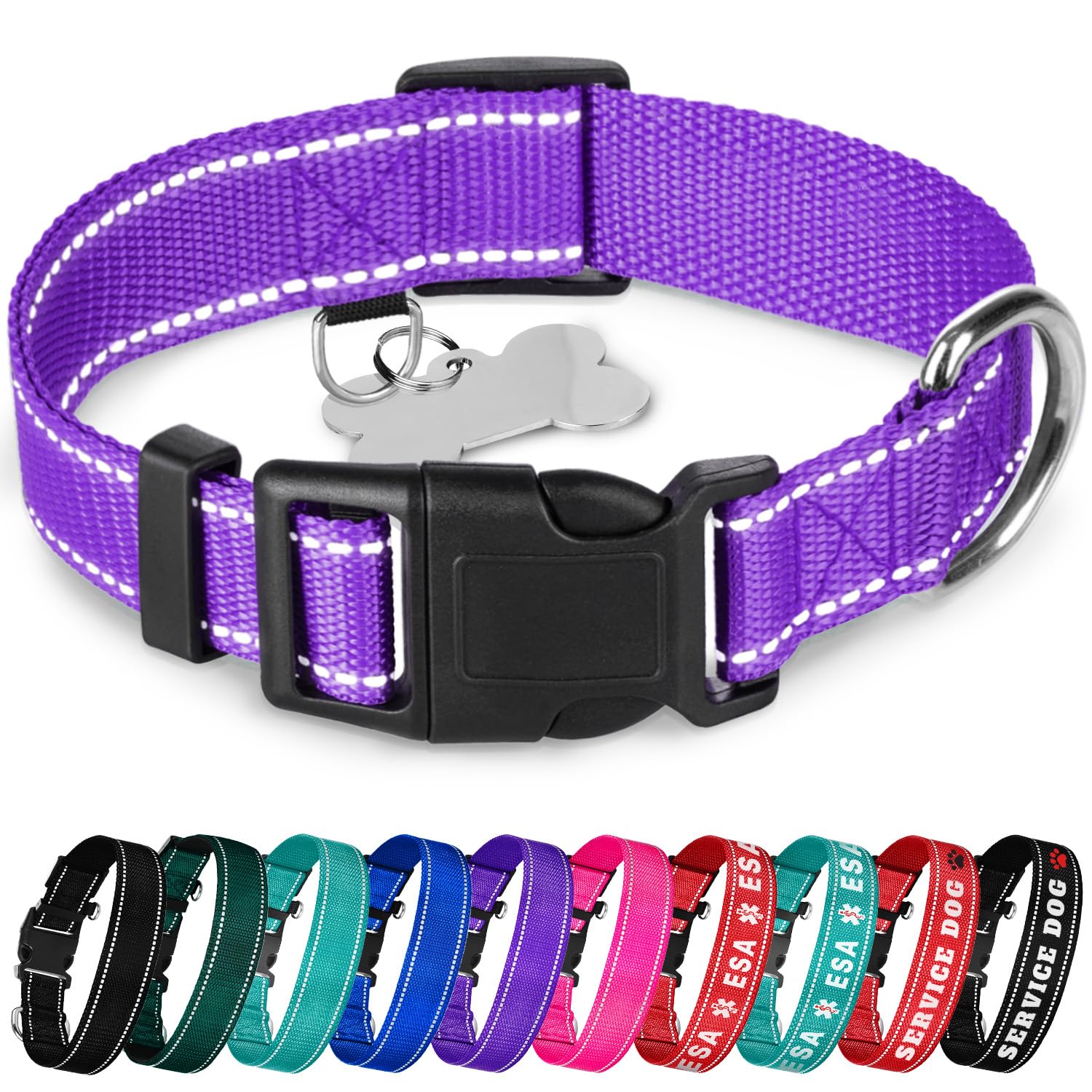 TECEUM Reflective Collar Violet S on dog for high-visibility walks