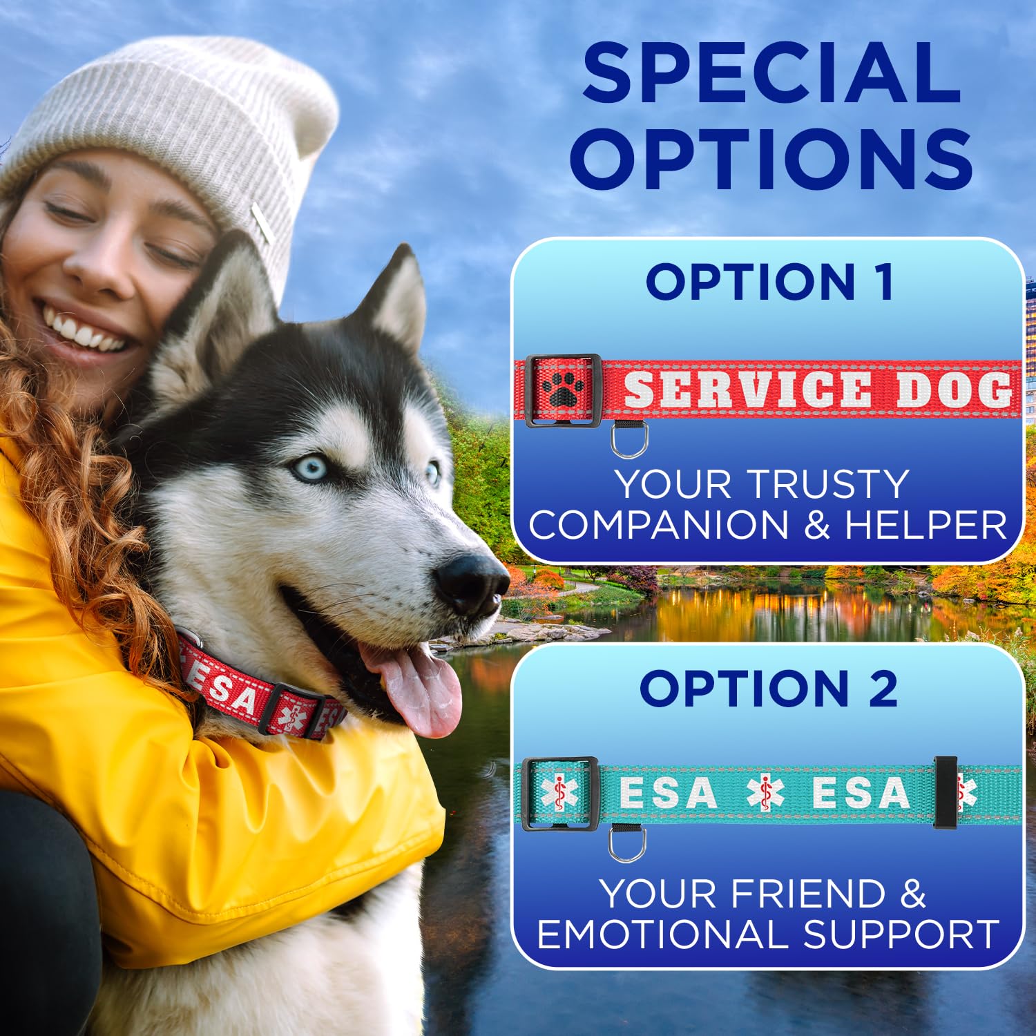 TECEUM Reflective Collar Violet S suitable for service dogs