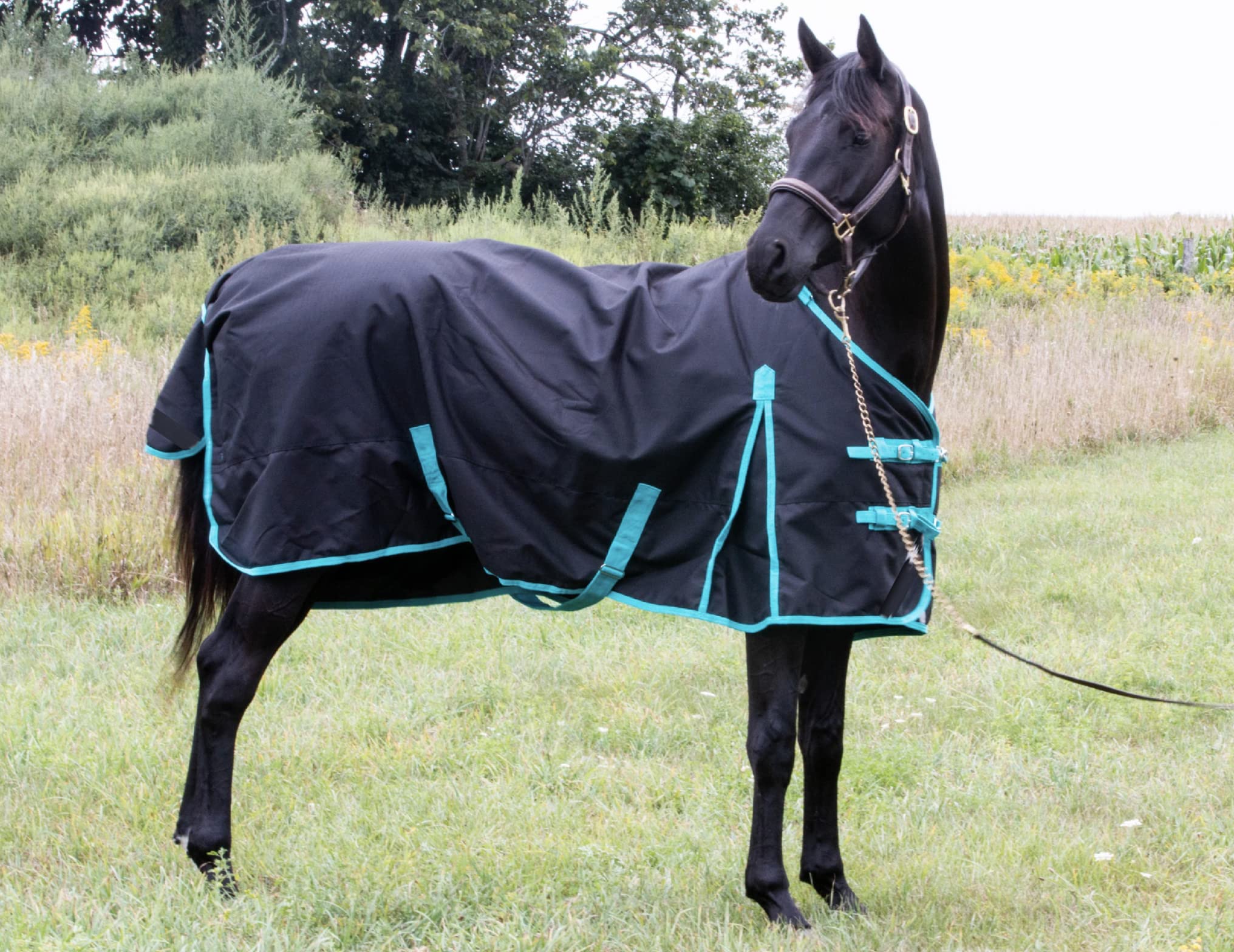 Tech Equestrian rain sheet side view highlights rugged ripstop shell and windproof performance.