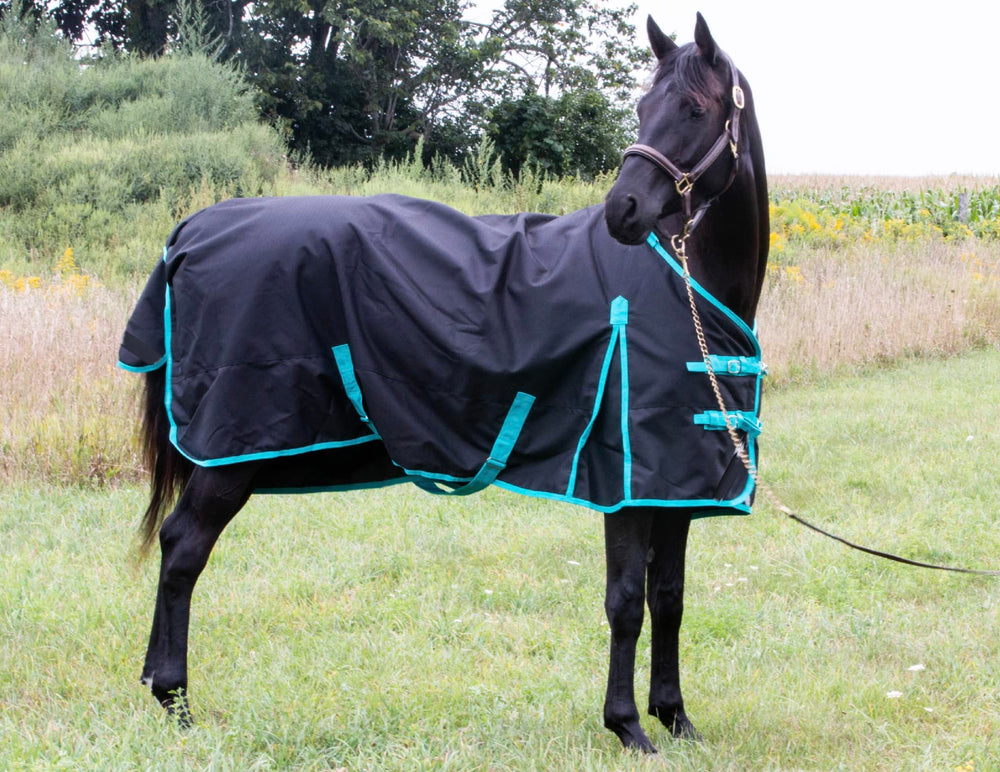 Tech Equestrian rain sheet side view highlights rugged ripstop shell and windproof performance.