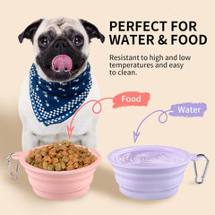 TECOPH collapsible dog bowl with carabiner attached to leash for hands-free transport.